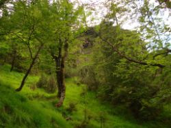 2013-07-07_Kotalm-Jochberg (145).JPG